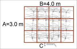 kuitukaavio4x3b